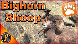 Bighorn Sheep Hunt | theHunter Classic 2018