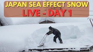 Driving Through Heavy Sea Effect Snow Storms Hitting Japan - LIVE Stream