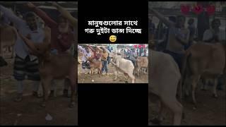 how possible cow dancing #sorts #sortvideo #viralshort #cow #dance #foryou #ai #edit #funny