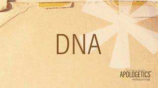 Apologetics with Reasons for Hope | DNA