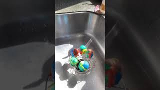 Volcano Easter Eggs with Jackson