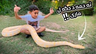 لينا و ئەحمەد ل باغچێ گيانەوەران - مارر لسەر دەستێ ئەحمەدى بوو !! | Duhok Zoo