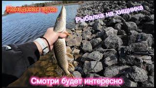 Рыбалка в Канаде. Онтарио. Belwood Lake.