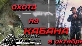 Охота на Кабана. Два сеголетка!!!