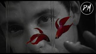 Rumble Fish (Modern Trailer)