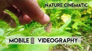 Nature video cinematic | uttarakhand | mobile videography | Hill villager |