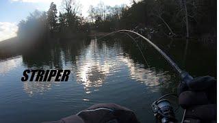 Chasing Small Schools of Stripers Feeding - Fall Fishing