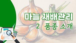 [영농기술] 마늘 재배관리 2. 품종 소개