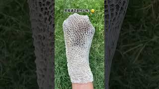What if you want to eat morel meat? See how the wise straw hat brother does it!#ASMR#Tik Tok#FYP