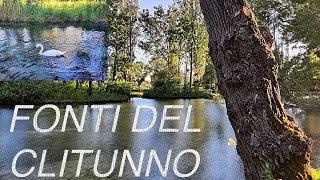 LE MAGNIFICHE FONTI DEL CLITUNNO (Campello sul Clitunno) PG