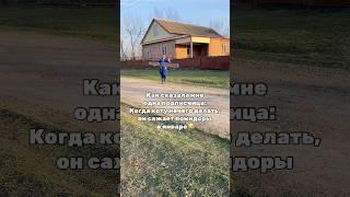 Спасибо всем за поддержку моего канала  ЛЕНКИН ОГОРОД