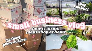 Running a Plant Store From Home Vlog🪴: Weekly Shop Restock,Greenhouse Cabinet Updates, Plant Chores