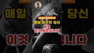 매일 피곤한 당신! 바로 이것 때문입니다! #건강정보 #건강관리 #건강신호