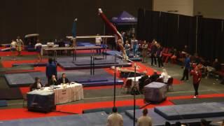 Randy Scharnhorst - High Bar - 2017 HNI Team Cup