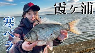 暴風が吹き荒れる霞ヶ浦でへらぶな釣りしたら乗っ込み前のヒレピン美ベラが釣れた！