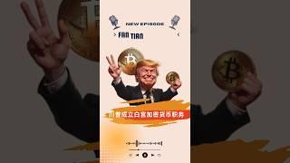 #特朗普 成立白宫加密货币职务 #比特幣 #狗狗幣 #以太坊 #btc #dogecoin狗狗幣