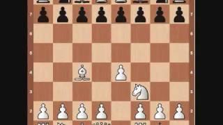 Chess Basics: Opening Principles