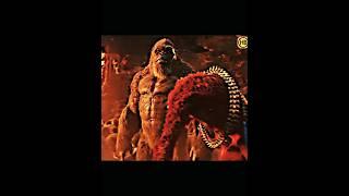 Kong revenge his insults  Kong attitude #godzilla #kong #shorts #ytshorts