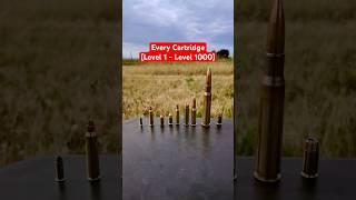 EVERY Cartridge RANKED (Level 1 - 1000) #civtac #pewpew #guns