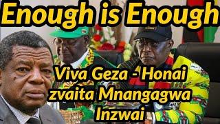 Viva Geza - Honai zvaita Mnangagwa Inzwai  Full info  Ochema ED