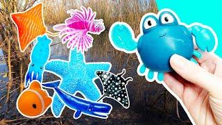 Kids Learning at the Pond | Learn Sea Animal Names: Clown Fish Octopus Crab Sea Lion