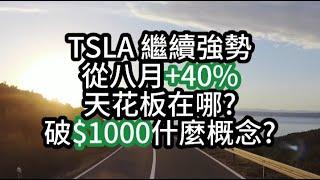 Tesla 特斯拉 $1,000 股價破千有可能嗎? Robotaxi? 能源業務? AI自駕技術? 自動工廠? TSLA NVDA AAPL MSFT