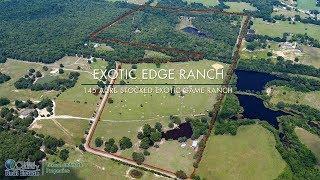 Exotic Edge Ranch, Edgewood, Texas