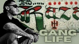 CHICAGO GANGS | LA RAZA | PILSEN