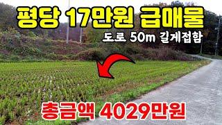 안성시 평당 17만원 반값 급매물 - 매매가 4029만원, 도로 길게 접한 토지