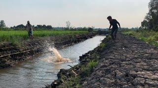 Dính Nhiều Lắm Rồi Tâm Ơi || Net fishing in the river