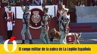 El rango militar de la cabra de La Legión Española y otras curiosidades que no sabes