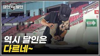 역시 달인은 다르네~ 느긋함이 뽀인트인 변남석 달인! MBN 220910 방송