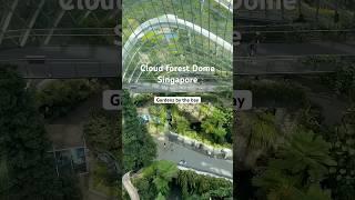 Cloud forest dome Singapore #cloudforestdome #singapore #forest