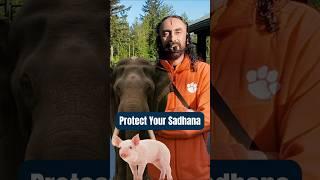 #1 Tip to Protect Your Sadhana l Swami Mukundananda #shorts