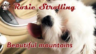 [Rosie Strolling] Beautiful mountains and relaxing music