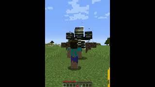 Kevin vs Wither