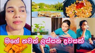 බෝඩිමේ තනියම ගෙවන ලස්සන දවසක් |My Day Vlog #vlog #vlogger #dayinmylife #dayinthelife #mealprep