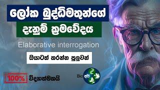 දැනුම වඩවන සුපිරිම ක්‍රමවේදය -  Elaborative Interrogation in Sinhala by Bio Api - Study Techniques