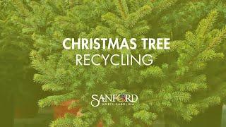 Recycle Your Live Christmas Tree in Sanford, NC #sanfordnc #cityofsanfordnc