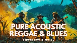 Pure Acoustic Reggae & New Blues | 1 Hour Chill Session