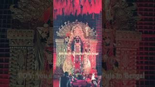 Kali puja vibes in Bengal..