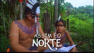 COMO O SUL PENSA QUE É O NORTE