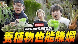 【植物日記】養植物一年也能賺爛!!! 帶黃小潔去淡水最大晴花鹿苑走店～ @1129jerry  @Haruhana_plants ｜Mr.Joe Hobby.tv