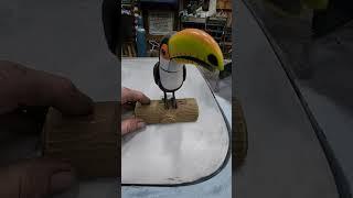 Junk Gets A Bird! #automobile #birds #bird #animation