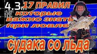 КАК ЛОВИТЬ СУДАКА ЗИМОЙ? 17 ПРАВИЛ которые ВАЖНО ЗНАТЬ при ЛОВЛЕ. 1.03.2025.  И снова TsyYoki VIKA.