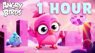 One Hour of Stella! | Angry Birds Adventure