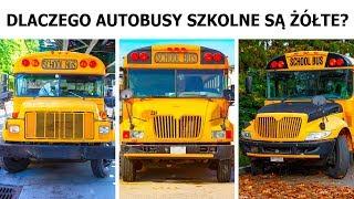 Dlaczego amerykańskie autobusy szkolne są żółte?