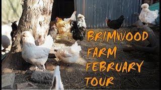 Brimwood Farm February Tour