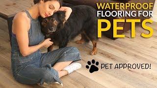 Waterproof Flooring for Pets - Cali Vinyl®