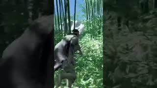 Bamboo Forest Battle: Epic Sword Fight!